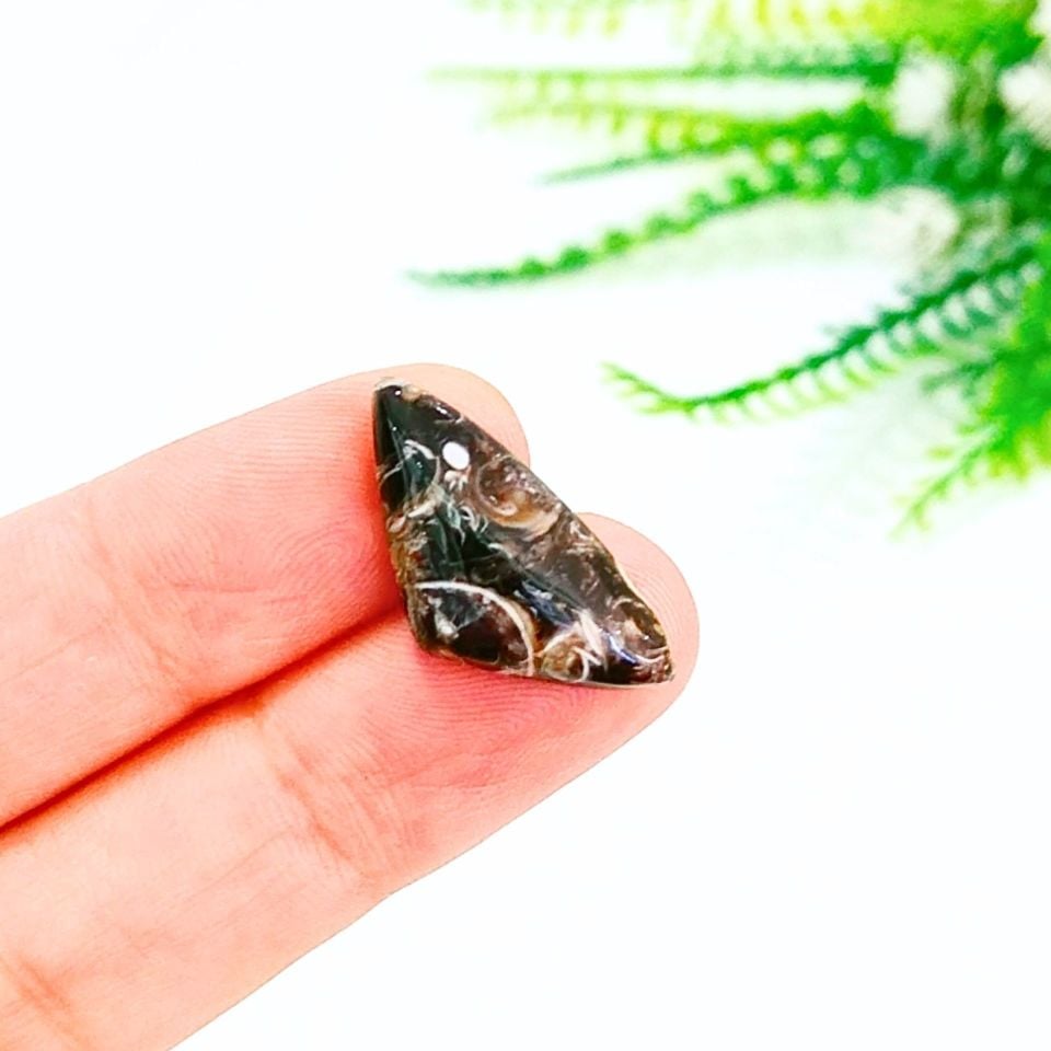 Turritella Taşı Kabaşon 0270